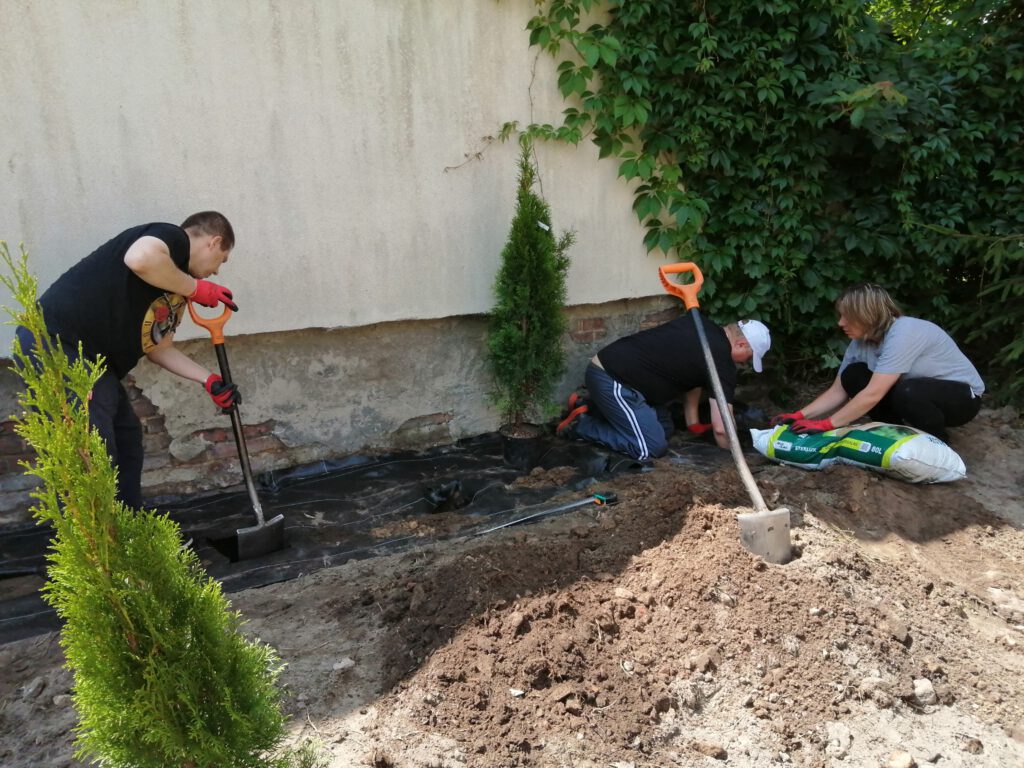 Na zdjęciu 3 osoby pracujące w ogrodzie. jedna z łopatą kopie doły, dwie sadzą krzewy.